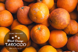 キズありでも濃厚な甘み【タロッコ】Bセレクション9kg