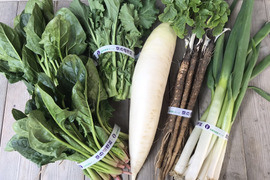 季節のお野菜5品目セット【漢方栽培】