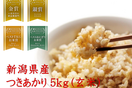 「お米グランプリ2025   4部門受賞🏆」新潟県産　つきあかり  5キロ  玄米  令和7年産　新米　お米　(72)