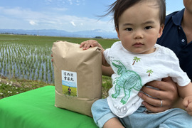 令和8年産米　大きい粒でとっても美味しい　雪若丸　玄米10キロ（10キロ1袋）