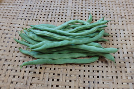 インゲンの通販｜その他豆類｜食べチョク｜産地直送(産直)お