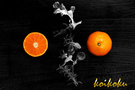 【濃い甘！自慢の濃厚冬みかん】コイコク（恋い告）2ｋｇ（箱込み）　【冬ギフト】【熨斗対応可】