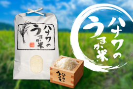 【新米】多古米コシヒカリ 5kg（精米）特別栽培米/ 令和5年
