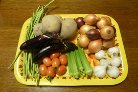 【野菜ミニセット】旬の露地野菜のお試しセット