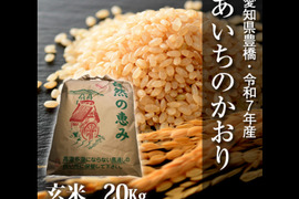 【節減対象農薬6割減】あいちのかおり 玄米20g【令和7年・愛知県産】