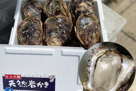 ヨコタ礁天然岩牡蠣　中５個（生食用）