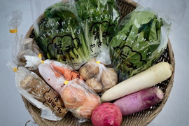 【福袋】のらくら農場の野菜＆スープと漬物のセット［Ｍサイズ］