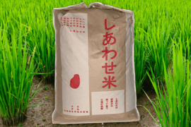 自然栽培のしあわせ米『精米』18kg
