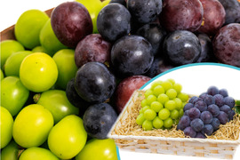 花笑み農園　岡山の訳ありブドウ2種MIX1kg【9/18～順次発送】W2M-1