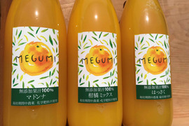 柑橘ジュース3種類（マドンナ、ミックス、はっさく）セット 1000ml （無添加果汁100％）　6本
