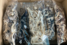 便利！乾燥きのこ【色々】５種　セット（各約３０ｇ）きくらげ