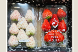 【ギフト】宮城県産いちご食べ比べセット！品種ベリーポップすずorよつぼし＋天使のいちご（品種エンジェルエイト）！ピカピカ輝く甘酸っぱい完熟いちご！(250ｇ2パック入り)