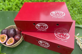 ＼プチっと食感／パッションフルーツ（贈答用・1.2kg）〜予約受付中〜