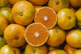 ぐっちゃん様ご予約分専用出品ページ青みかん20キロ ぐっちゃん様ご予約分専用出品ページ青みかん20キロ [玉津柑橘