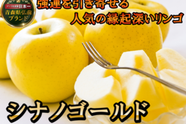 🍎強運を引き寄せるシナノゴールド🍎高糖度×柑橘系の酸味で富裕層も好む贈り物として人気の縁起深い林檎【冬ギフト】～品種指定キャンペーンお試し特価～