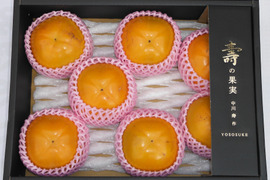 【南砺市投稿キャンペーン対象商品】甘柿『太秋柿』甘くて美味しい 　サイズ５Ｌ・７個 ・２.５kg以上 化粧箱入り