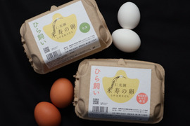 【富山県のお米で育った鶏が自慢です！】ひら飼い 米寿の卵 白玉6個入×2パック・赤玉6個入×2パック (合計24玉)
