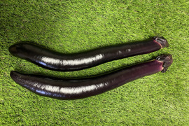 ながーくて、うまーーい!(^^)!庄屋大長なす20本