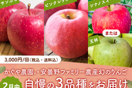 【売り切れ】【2/24 終了】【限定150セット】3品種りんご食べ比べセット（食べチョク公式）