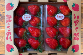 【1箱】古都華【奈良県産】290g 前後×２パック【御贈答用にも】