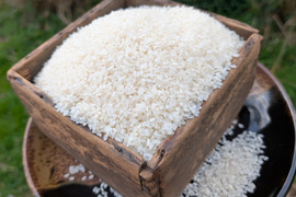 《令和７年収穫》白米４KG　栽培期間中農薬・化学肥料不使用 自然農業での栽培 五島列島産