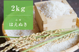 【新米/はえぬき2kg/特別栽培米】心を込めて作りました♪山形県産はえぬき（精米2kg）