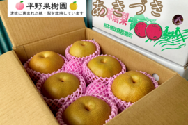 昨年大好評！『清流球磨梨』あきづき　約3kg(3〜7個入り)