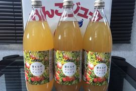無添加果汁100%！葉とらずサンふじりんごジュース(1L6本セット)