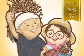 【令新７年新米】　新潟県産コシヒカリ　反町の【発芽前玄米】はとても食べやすいですよ（３㎏）