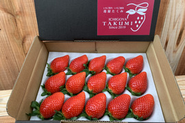 【贈答用】品評会最高金賞受賞 朝採れ甘熟いちご (400g x 1箱)