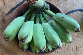 自然栽培　辺塚バナナ（へつか）林檎系の爽やかな酸味とバナナの甘味のバランスが非常に良い。在来種のバナナ　重量：約900gm~1kg