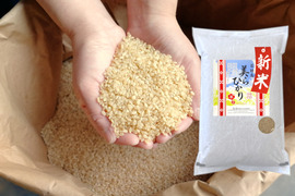 玄米の通販｜お米｜食べチョク｜産地直送(産直)お取り寄せ通販