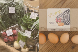 【サステナブルな地域循環型セット】農薬不使用野菜5種と国産飼料の放牧卵「君は太陽」10個