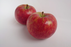 長野県専売リンゴ『シナノリップ』２㎏サイズ箱（５～９玉）夏においしいりんごです！