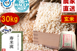 令和7年産】茨城県産ミルキークイーン しづくのしずく玄米30