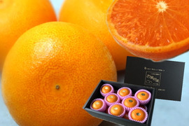 大感動！樹上じっくり完熟させた甘～い大トロせとか！とろける甘さと上品な味わい！本物の美味しさ！当園オリジナル有機肥料で高糖度果実生産を実現！「木熟せとか」厳選プレミアム　約２．８ｋｇ【402】