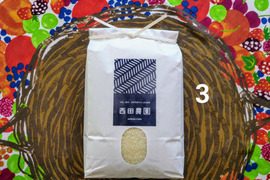 米・穀類🥇１位受賞✨食べチョクAW2023・一等米【令和６年産】【特別栽培米コシヒカリ】【 3分づき精米 5kg】天然資材＆有機質肥料のみ・動物性堆肥不使用・低農薬（80％以上削減）