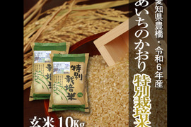 【栽培期間中農薬不使用】あいちのかおり 玄米10kg（5kg×2袋）【令和6年・愛知県産】