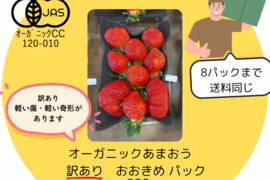 【訳あり】完熟！オーガニックあまおうB級（※6パックまで送料同じ）