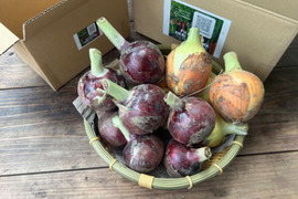 ⭐有機JAS認証⭐赤玉葱・玉葱2種類セット 4.5kg (小～中サイズ)