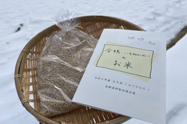 【合鴨・はざかけ米】山育ちの餅米５合◯玄米◯令和６年産