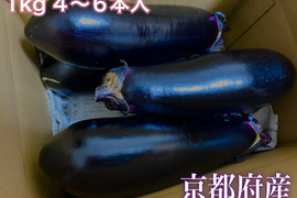 京都府産 特別栽培 千両ナス(中長ナス) 1kg