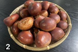 筑波の通販｜栗｜食べチョク｜産地直送(産直)お取り寄せ通販