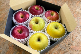【ギフト】贅沢４品種ミックス🍎上品7個入りギフトボックス〜化学合成農薬を約40％削減して栽培しました〜安曇野産りんご🍎