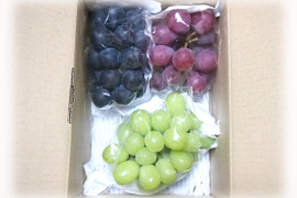 味見3房・種あり巨峰、シャイン、クイーンニーナ、計約900g(約300g×3)※信州の環境にやさしい農産物（長野県認証）食べ比べ