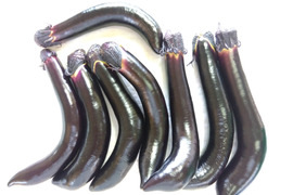 【訳あり品まとめ買い】
ふわトロ長ナス１Ｋｇとキュウリ１．５Ｋｇ
まとめてお届け致します。
ふわトロ長ナス：８００円・キュウリ８００円
まとめて１６００円
（正規品の２割安）