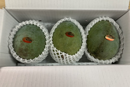 幻のキーツマンゴー (家庭用)1.8kg　2玉〜3玉