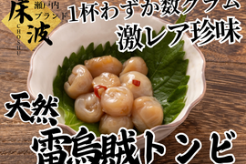 【一杯に一個の超希少珍味】🦑天然国産カミナリイカ『口先(トンビ)』長州床波ブランド海鮮部位指定キャンペーン数量限定☆お試し約100g【6月上旬予約】