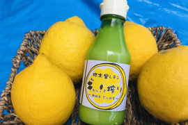 レモン果汁ギュッと搾り150ml二本セット