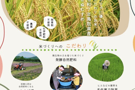 令和7年新米】農薬・化学肥料不使用 冷めても美味しい「きぬむすめ